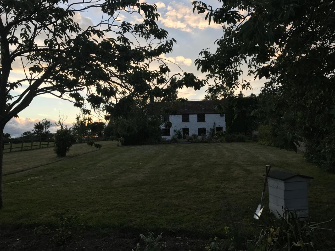 Mount Pleasant Farm Bed & Breakfast Wedmore Luaran gambar